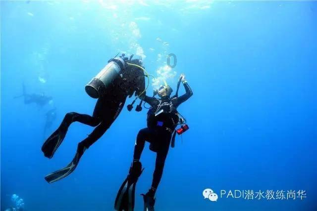 植物大战僵尸11